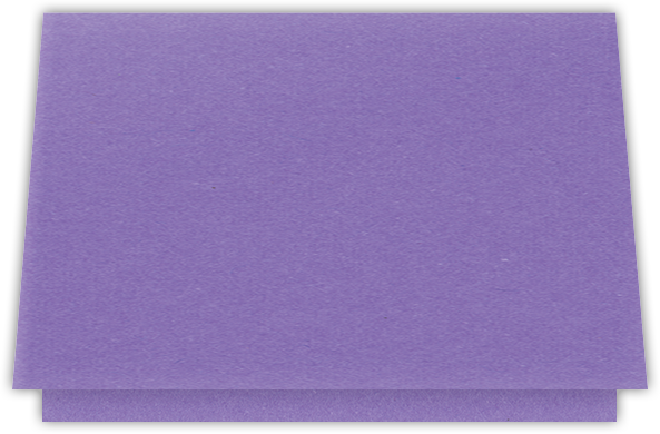 Grape Jelly Vellum 100lb 5 1/8 x 3 3/8 One Pocket Landscape Photo Holders with 1 3/8 Inch Pocket