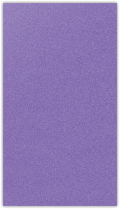 Grape Jelly Vellum 100lb 3 3/8 x 6 One Pocket Key Card Holders with 2 1/2 Inch Pocket