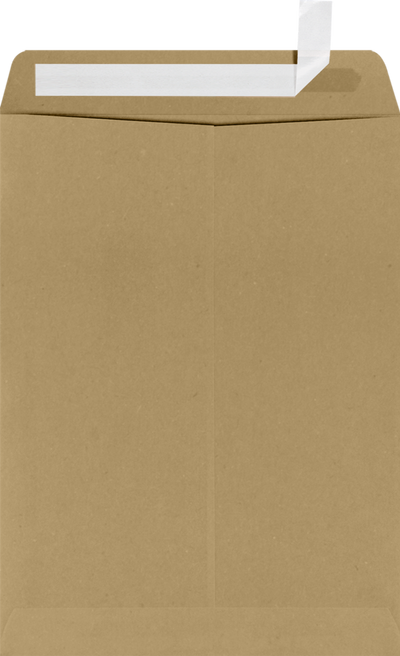 Grocery Bag 28lb 9 x 12 Open End Window Envelopes with Peel & Seal