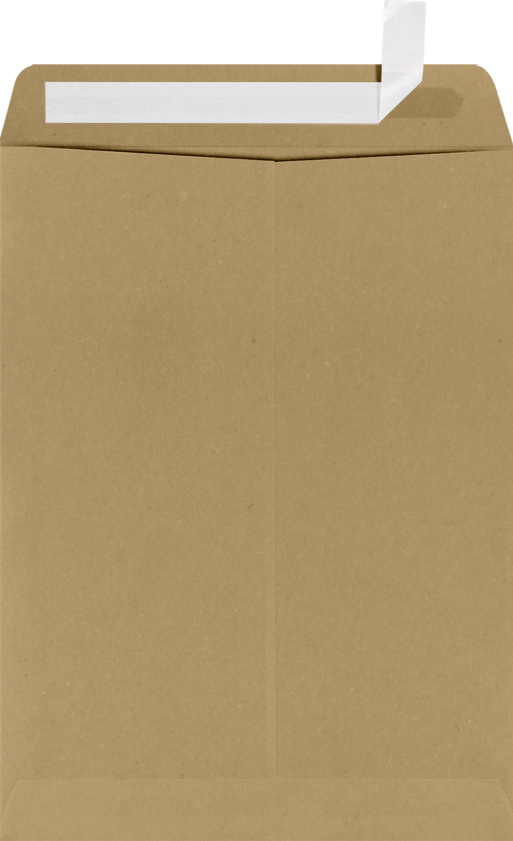 Grocery Bag 28lb 9 x 12 Open End Window Envelopes with Peel & Seal