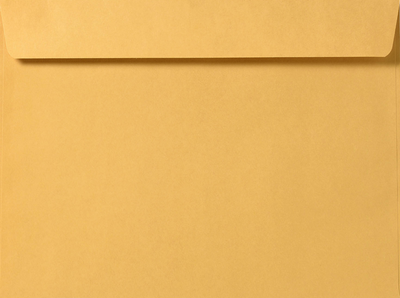 Brown Kraft 28lb 10 x 13 Booklet Envelopes
