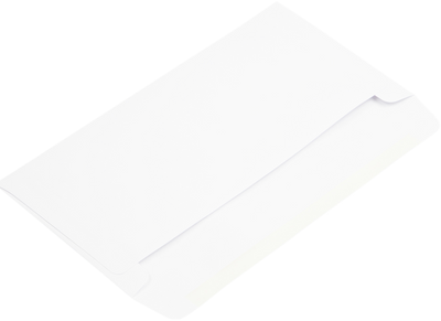 White 28lb #16 Straight Banker's Flap Offering Envelopes (6 x 12)