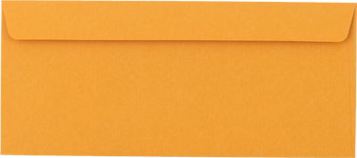 Brown Kraft 28lb #11 Regular Envelopes (4 1/2 x 10 3/8)