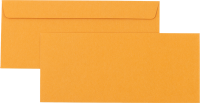 Brown Kraft 28lb #11 Regular Envelopes (4 1/2 x 10 3/8)