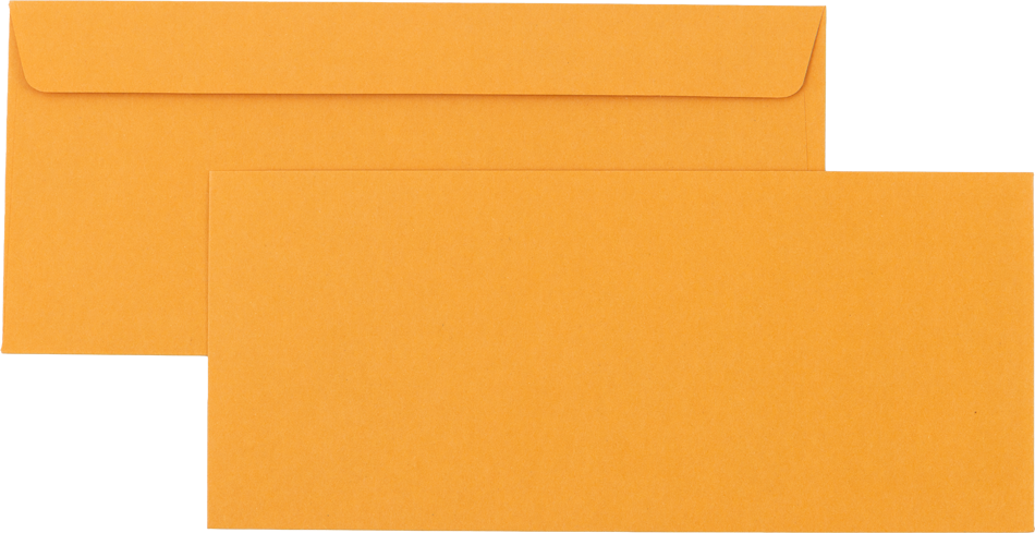 Brown Kraft 28lb #11 Regular Envelopes (4 1/2 x 10 3/8)