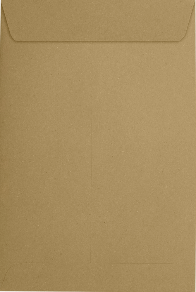 Grocery Bag 28lb 6 x 9 Open End Envelopes with Peel & Seal