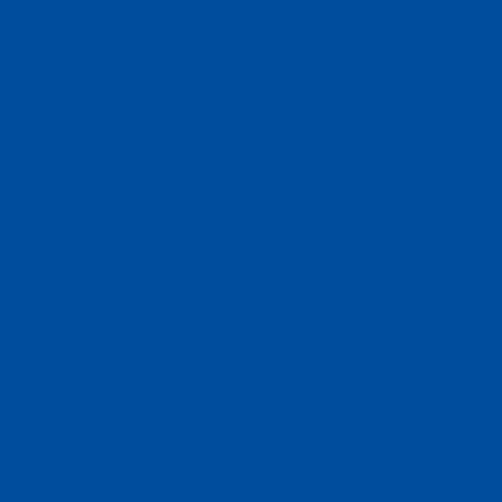 Royal Blue Matte Bulk Wrapping Paper (520 Sq Ft)