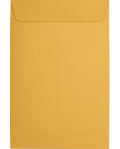 Brown Kraft 28lb 6 x 9 Open End Envelopes