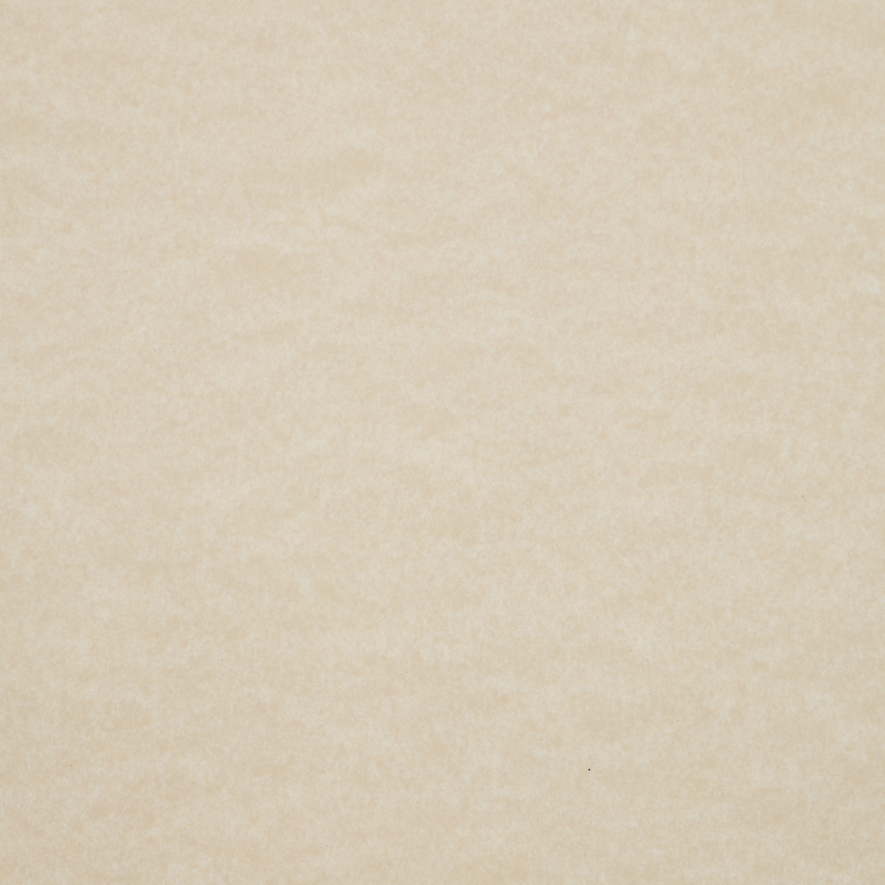 Natural Parchment 65lb 8 1/2 x 11 Cardstock