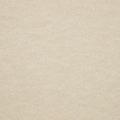 Natural Parchment 65lb 8 1/2 x 11 Cardstock