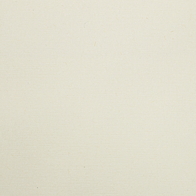 Natural Linen 24lb Mohawk #10 Regular Premium Envelopes (4 1/8 x 9 1/2)