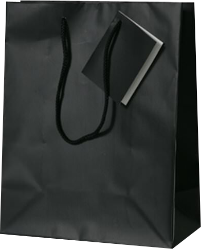 Black Medium Matte Gift Bags (8 x 10 x 4)