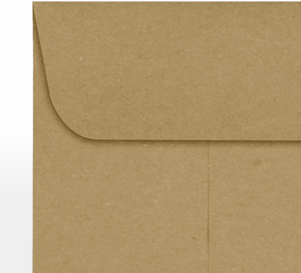 Grocery Bag 28lb #1 Coin Envelopes (2 1/4 x 3 1/2)