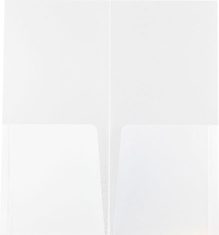 Clear 4 1/4 x 9 1/8 Mini Plastic Heavy Duty Folders