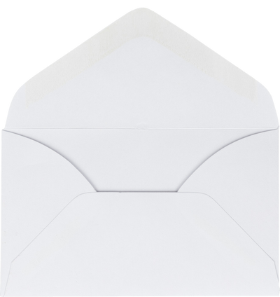 White 24lb #63 2Pay Envelopes (2 1/2 x 4 1/4)