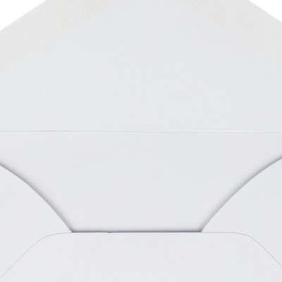 White 24lb #63 2Pay Envelopes (2 1/2 x 4 1/4)