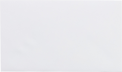 White 24lb #63 2Pay Envelopes (2 1/2 x 4 1/4)
