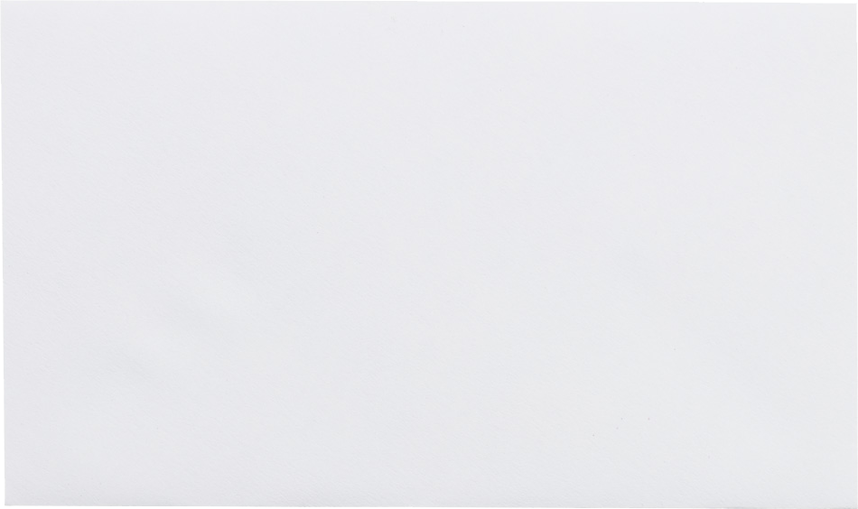 White 24lb #63 2Pay Envelopes (2 1/2 x 4 1/4)