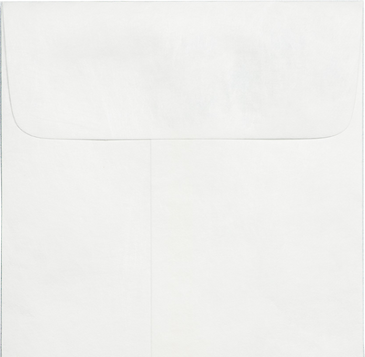 White Tyvek 14lb #14 Regular Envelopes (5 x 11 1/2)