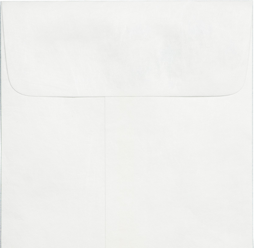 White Tyvek 14lb #14 Regular Envelopes (5 x 11 1/2)