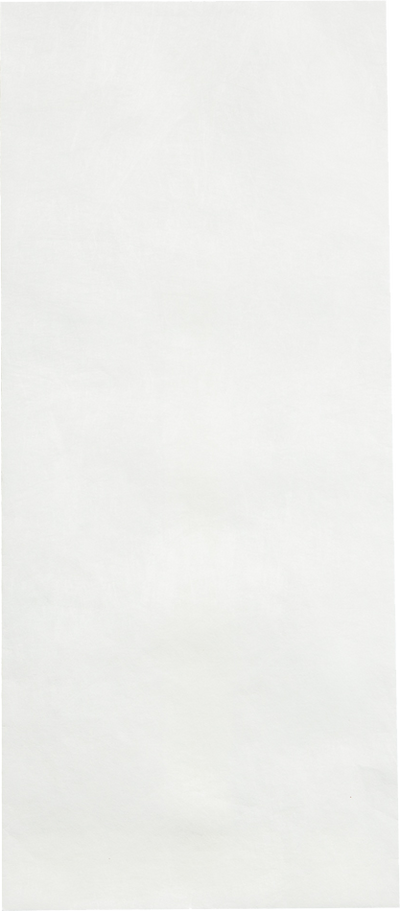 White Tyvek 14lb #14 Regular Envelopes (5 x 11 1/2)