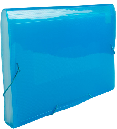 Blue Letter Size 13 Pocket Expanding Files (9 x 13)