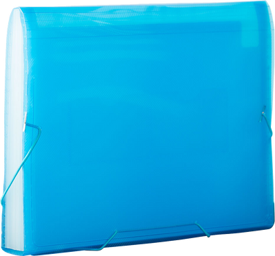 Blue Letter Size 13 Pocket Expanding Files (9 x 13)