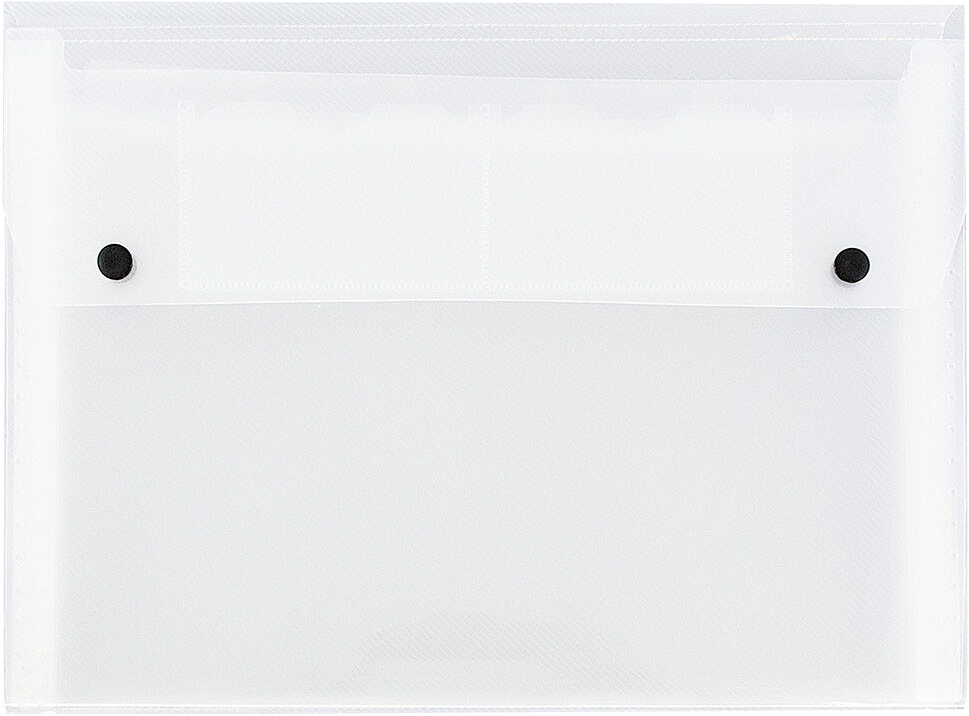 Clear with Snap Letter Size 6 Pocket Expanding Files (9 x 13)