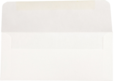 White 24lb Money Envelopes (3 x 6 11/16)