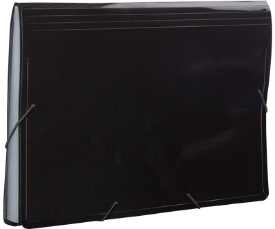 Black Legal Size 13 Pocket Expanding Files (10 x 15)