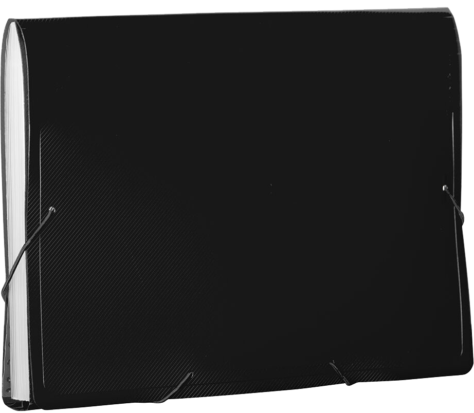 Black Letter Size 13 Pocket Expanding Files (9 x 13)