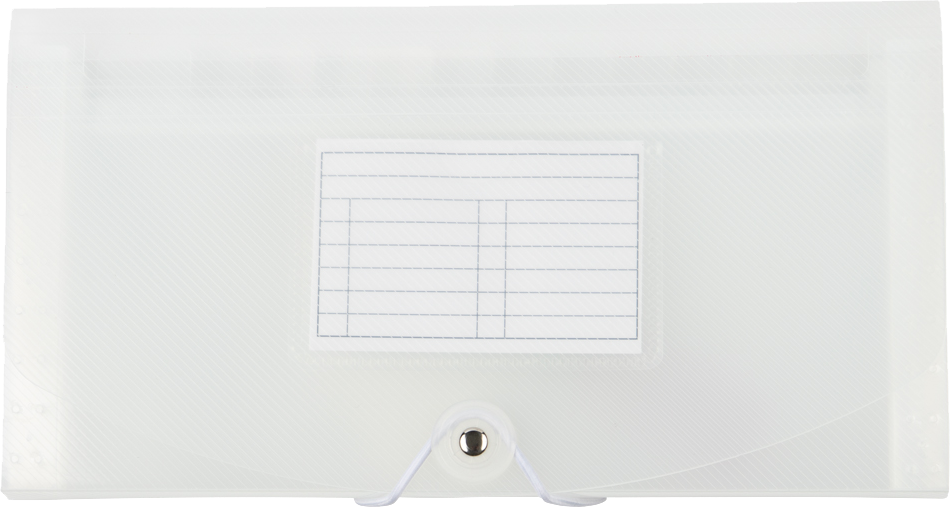 Clear Check Size 13 Pocket Expanding Files (5 x 10 1/2)