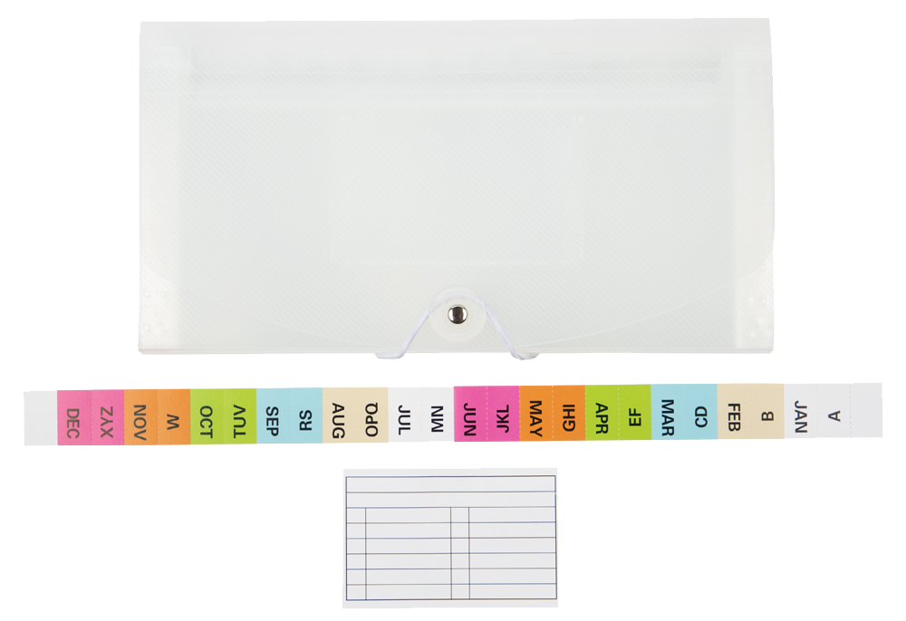 Clear Check Size 13 Pocket Expanding Files (5 x 10 1/2)