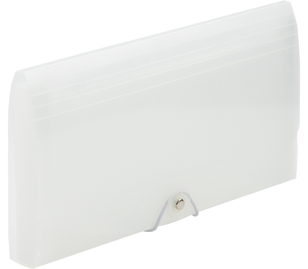 Clear Check Size 13 Pocket Expanding Files (5 x 10 1/2)