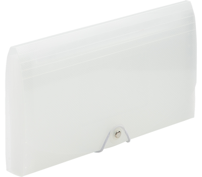 Clear Check Size 13 Pocket Expanding Files (5 x 10 1/2)
