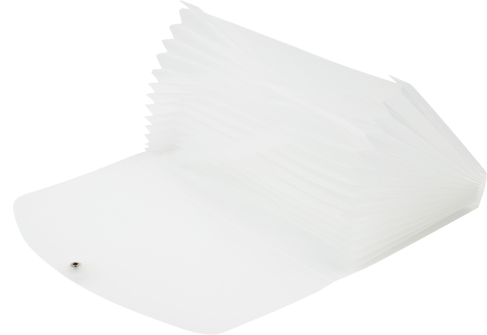 Clear Check Size 13 Pocket Expanding Files (5 x 10 1/2)