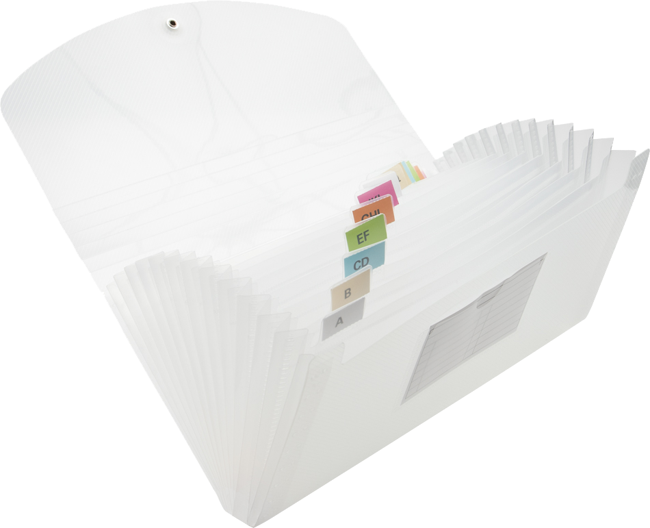 Clear Check Size 13 Pocket Expanding Files (5 x 10 1/2)