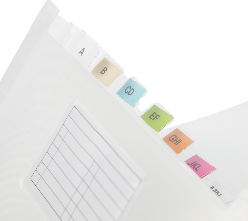 Clear Check Size 13 Pocket Expanding Files (5 x 10 1/2)