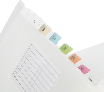 Clear Check Size 13 Pocket Expanding Files (5 x 10 1/2)