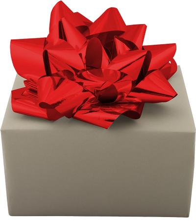 Red 13 Inch Mega Gift Bows