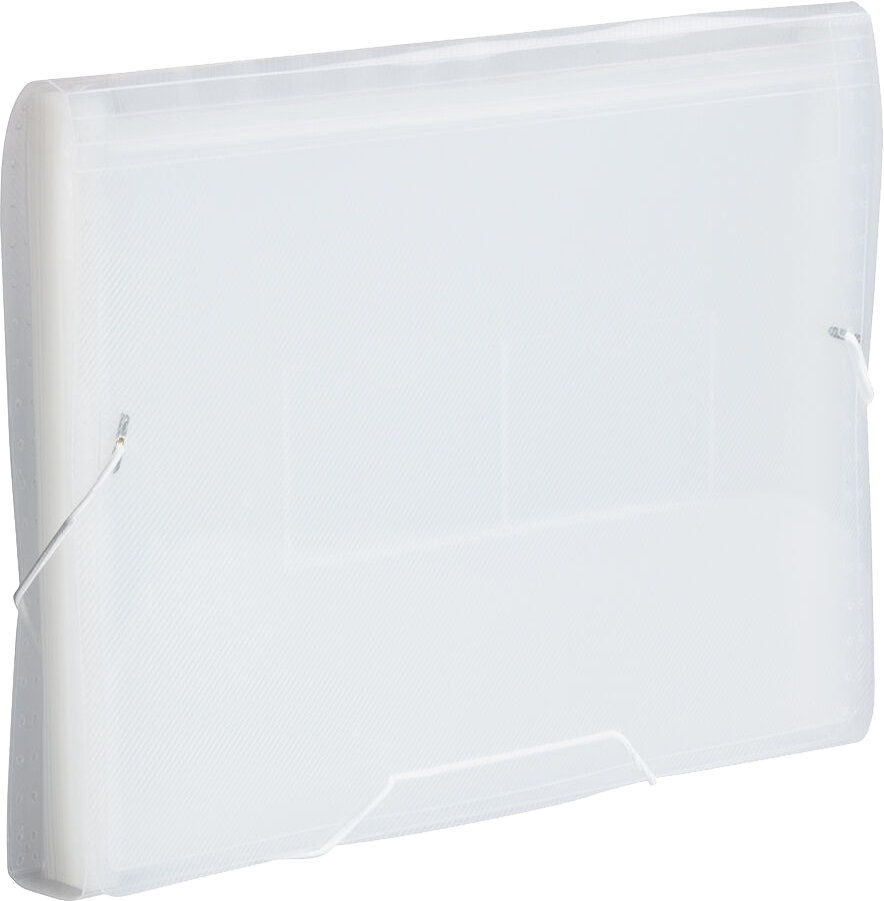 Clear Legal Size 13 Pocket Expanding Files (10 x 15)
