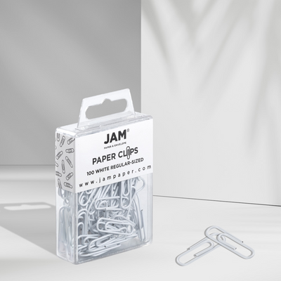 White Standard Paper Clips - 100 Pack