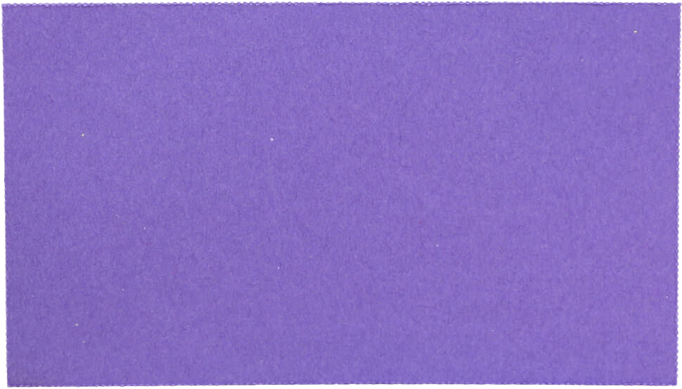 Bright Violet Business Cards - 100 Pack