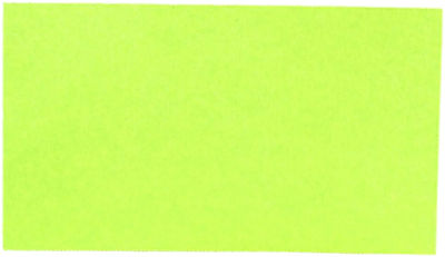 Wasabi Printable Business Cards - 100 Pack