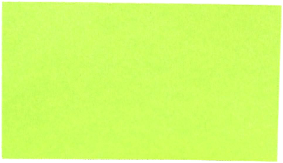 Wasabi Printable Business Cards - 100 Pack