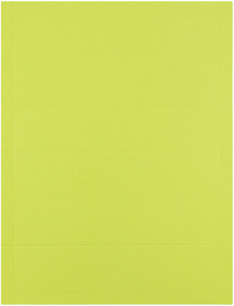 Wasabi Printable Business Cards - 100 Pack