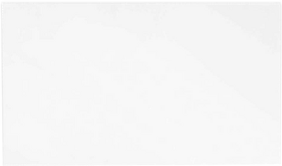 White Business Cards - 100 Pack