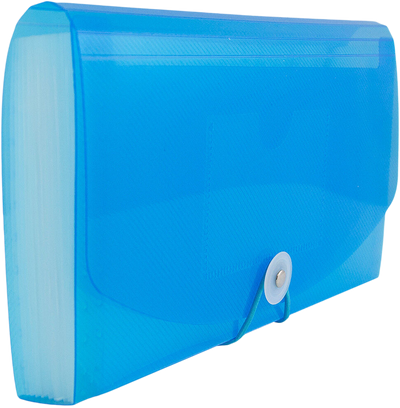 Blue Check Size 13 Pocket Expanding Files (5 x 10 1/2)