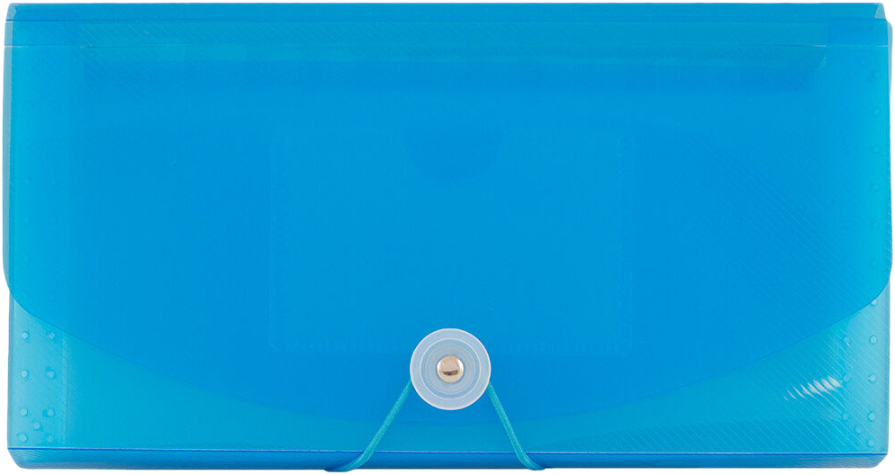 Blue Check Size 13 Pocket Expanding Files (5 x 10 1/2)