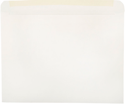 White 28lb Full Face Booklet Window (9 x 12) Envelopes